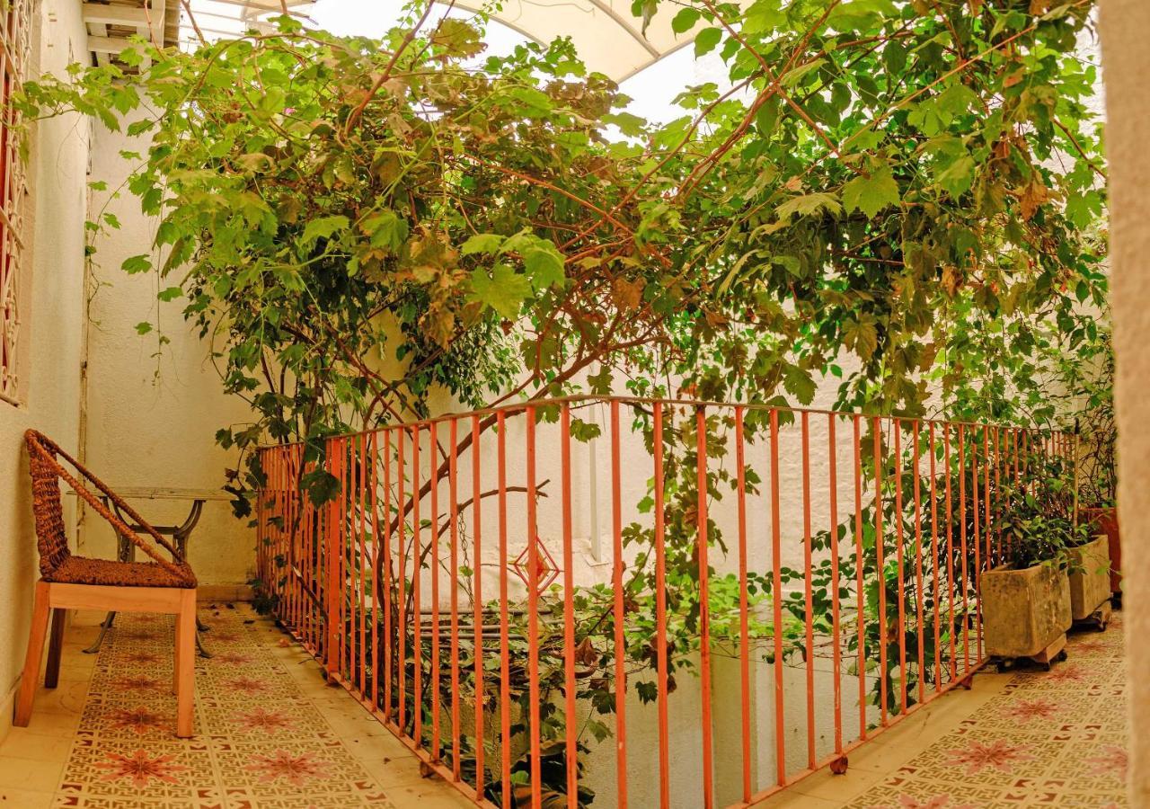 Casa Rosa - Alma Hotels サンタ・マルタ エクステリア 写真